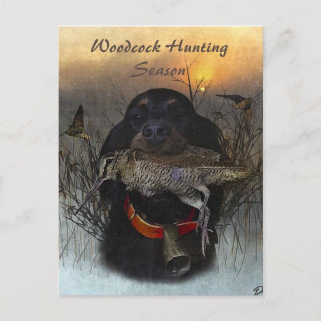 Cartão Postal De Festividades Gordon Setter (Frente)