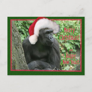 Cartão Postal De Festividades Gorilla Natal