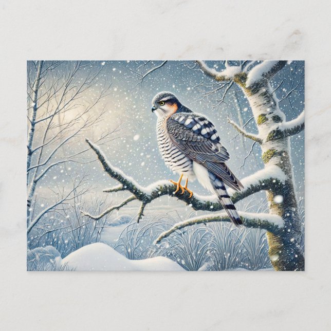 Cartão Postal De Festividades Goshawk em Birch no inverno (Frente)