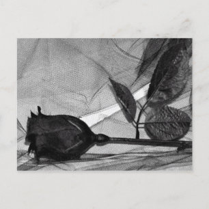 Cartão Postal De Festividades Goth Valentine