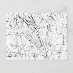 Cartão Postal De Festividades Grama De Penas Na Neve Horizontal