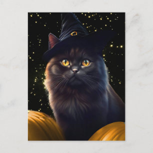 Cartão Postal De Festividades Halloween Black Cat Witch Hat E Pumpkins