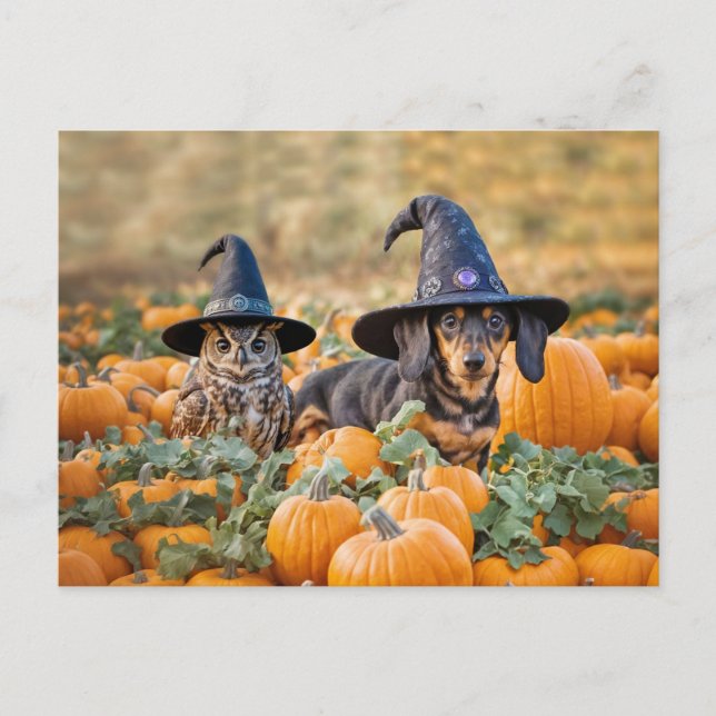 Cartão Postal De Festividades Halloween Dachshund e Owl Funny (Frente)
