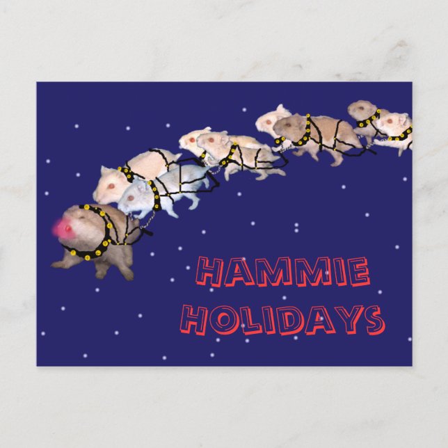 Cartão Postal De Festividades Hammie Holidays (Frente)