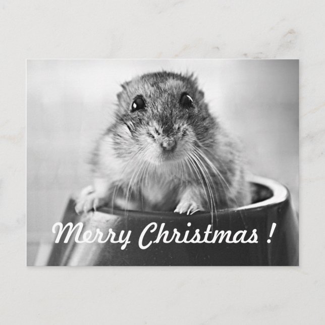 Cartão Postal De Festividades Hamster Christmas Card (Frente)