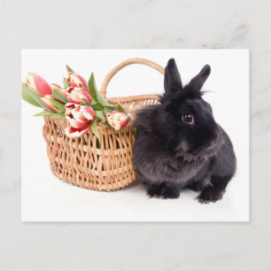 Cartão Postal De Festividades Happy Easter