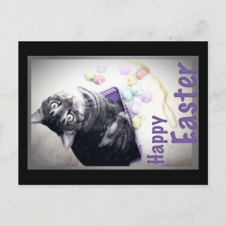 Cartão Postal De Festividades Happy Easter - Kitty - Postcard
