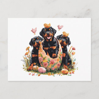 Cartão Postal De Festividades Happy Easter Rottweiler Dogs