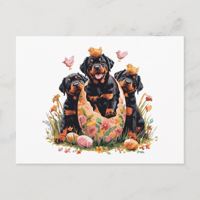 Cartão Postal De Festividades Happy Easter Rottweiler Dogs (Frente)