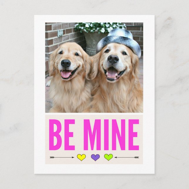 Cartão Postal De Festividades Happy Golden Retrievers Be Mine Valentine's Day (Frente)