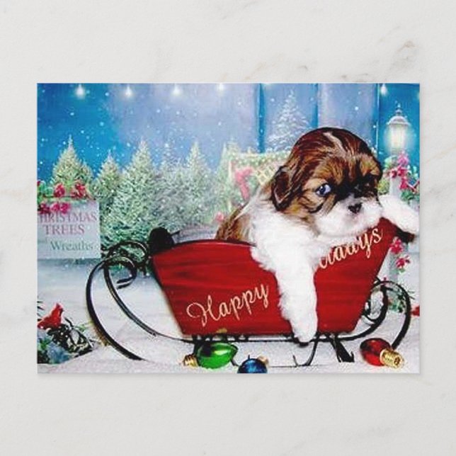 Cartão Postal De Festividades Happy Holidays Shih Tzu (Frente)