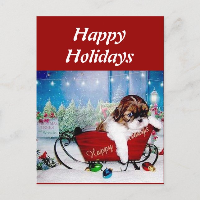 Cartão Postal De Festividades Happy Holidays Shih Tzu (Frente)