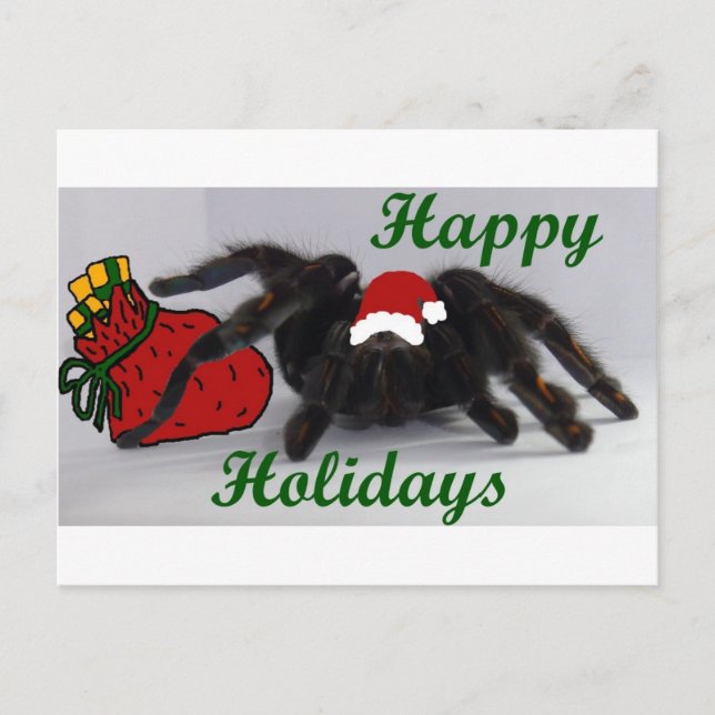Cartão Postal De Festividades Happy Holidays! ... with a Tarantula? (Frente)