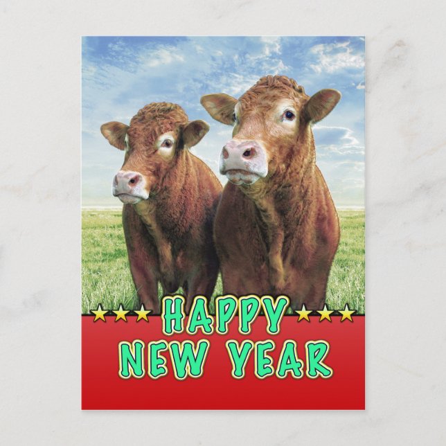 Cartão Postal De Festividades HAPPY NEW YEAR witch the cow boys (Frente)