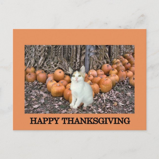 Cartão Postal De Festividades Happy Thanksgiving (Frente)