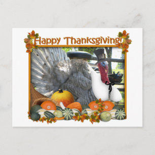 Cartão Postal De Festividades Happy Thanksgiving from Tom the Pilgrim Turkey