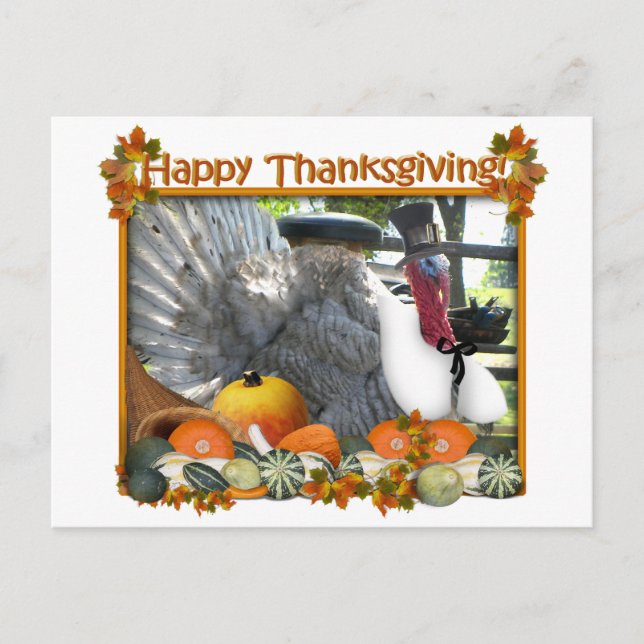 Cartão Postal De Festividades Happy Thanksgiving from Tom the Pilgrim Turkey (Frente)