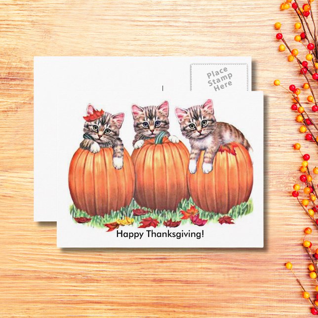Cartão Postal De Festividades Happy Thanksgiving Kittens on Pumpkins Autumn, ZSG (Happy Thanksgiving Kittens on Pumpkins Autumn Holiday Postcard)