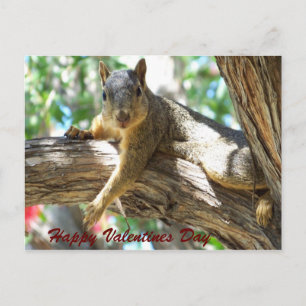 Cartão Postal De Festividades Happy Valentines Day_Postcard