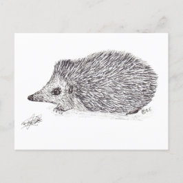 CARTÃO POSTAL DE FESTIVIDADES HEDGEHOG