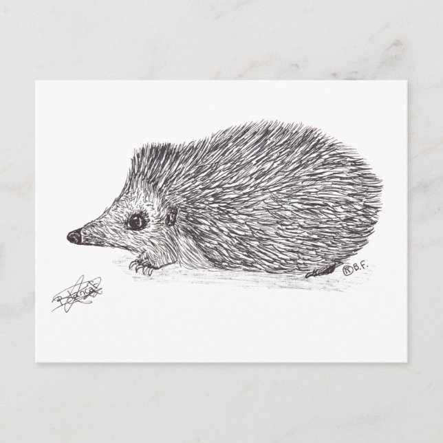 CARTÃO POSTAL DE FESTIVIDADES HEDGEHOG (Frente)