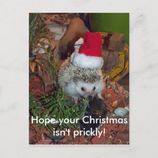 Cartão Postal De Festividades Hedgie o ouriço deseja-lhe o Feliz Natal