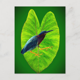 Cartão Postal De Festividades Herão verde