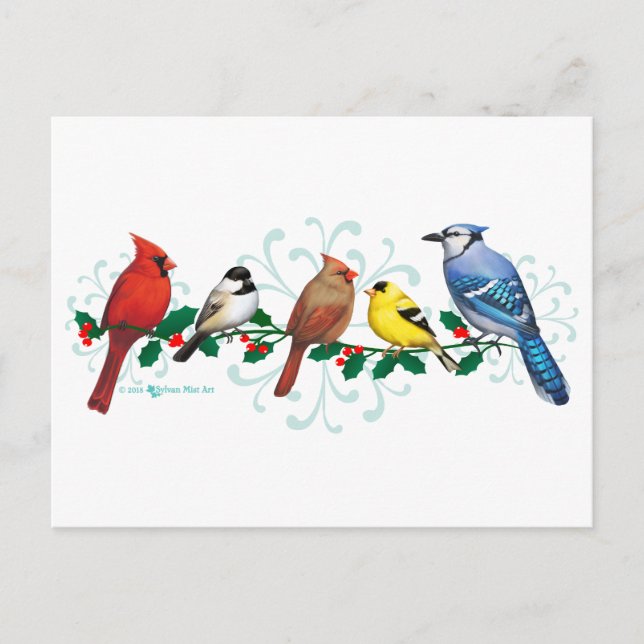 Cartão Postal De Festividades Holiday Birds (Frente)