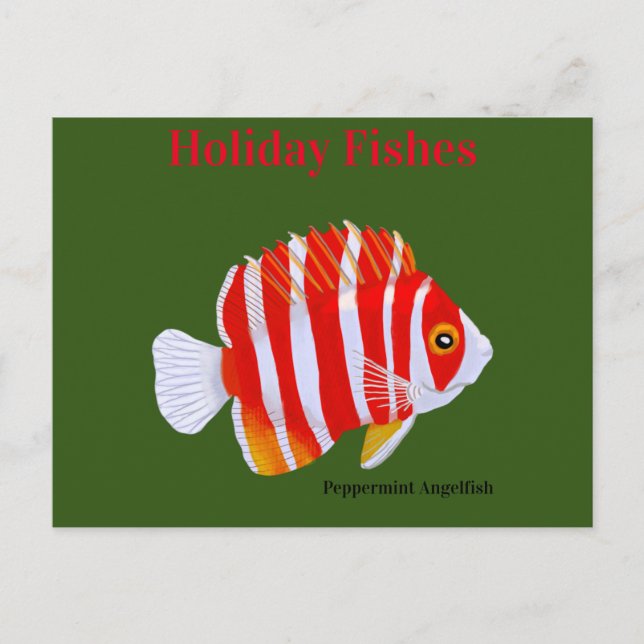 Cartão Postal De Festividades Holiday Fishes Peppermint Angelfish (Frente)