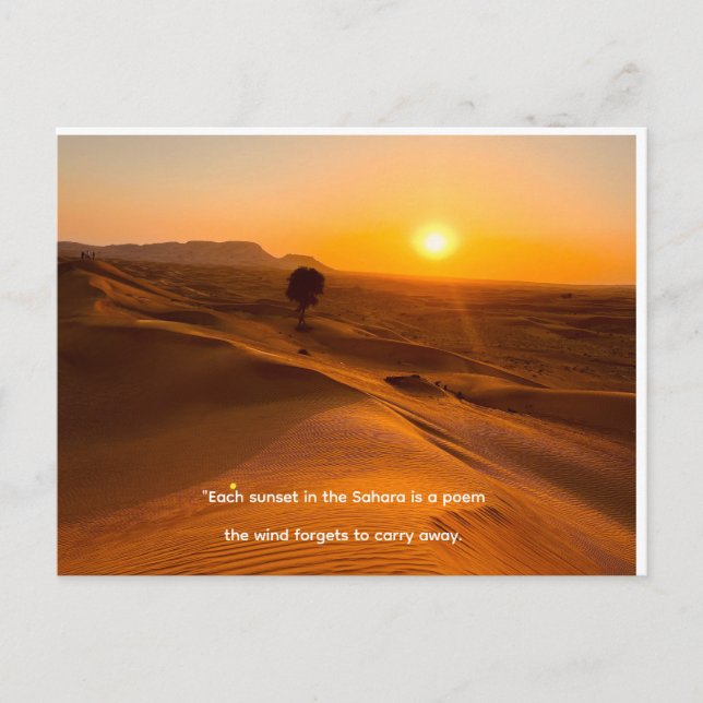 Cartão Postal De Festividades Holiday Postcard (Frente)