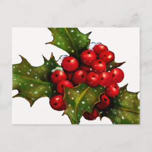 Cartão Postal De Festividades Holly de Natal com Berries e neve: Arte