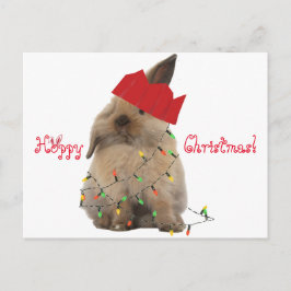 Cartão Postal De Festividades Hoppy Christmas Bunny Postcard