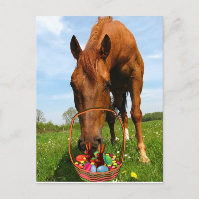 Cartão Postal De Festividades Horse and Easter Basket Postcard (Frente)