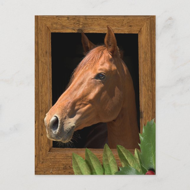 Cartão Postal De Festividades Horse Natal (Frente)