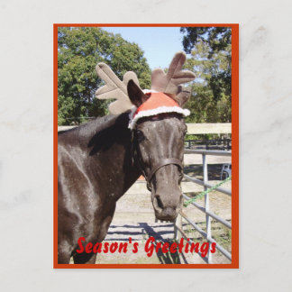 Cartão Postal De Festividades Horse Season's Greetings