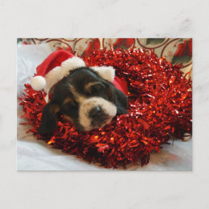 Cartão Postal De Festividades Hound do Cartão-postal de Natal