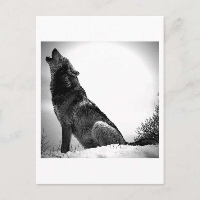 Cartão Postal De Festividades Howling Wolf in Snow (Frente)