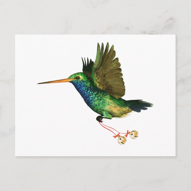 Cartão Postal De Festividades Hummingbird (Frente)