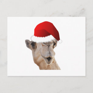 Cartão Postal De Festividades Hump Day Camel Santa Claus Hat