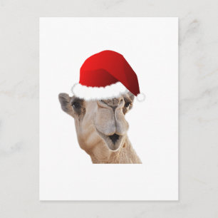 Cartão Postal De Festividades Hump Day Camel Santa Claus Hat