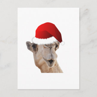 Cartão Postal De Festividades Hump Day Camel Santa Claus Hat