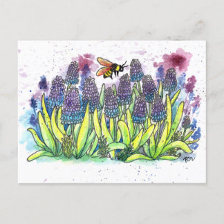 Cartão Postal De Festividades Hyacinth Grape