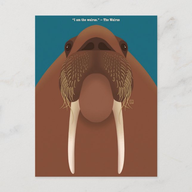 Cartão Postal De Festividades I am the Walrus Postcards (Frente)