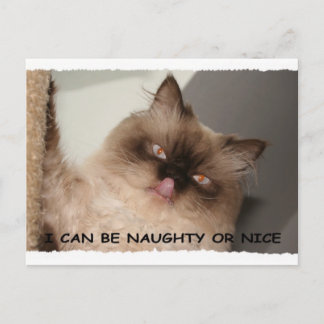CARTÃO POSTAL DE FESTIVIDADES I CAN BE NAUGHTY OR NICE