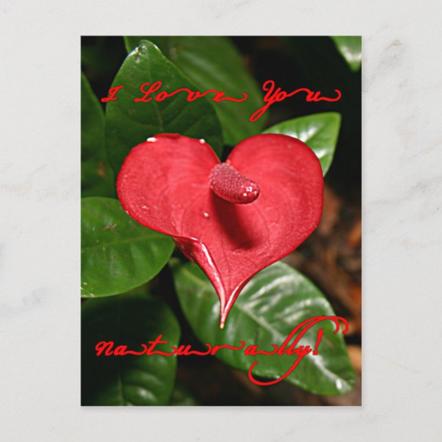 Cartão Postal De Festividades I Love You Naturally! - Valentine's Day + Meanings (Frente)