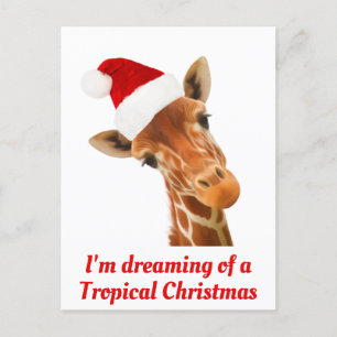 Cartão Postal De Festividades I'm dreaming of a Tropical Christmas T-shirt