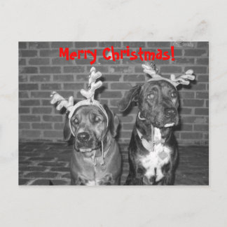 Cartão Postal De Festividades IMG_3721_2, Feliz Natal!