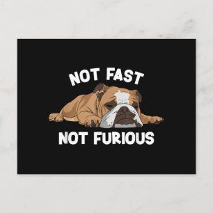 Cartão Postal De Festividades Inglês Bulldog Dormindo Não Rápido Não É Fundão Fu