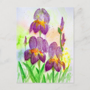 Cartão Postal De Festividades Íris Azul-Violeta em Pintura em Aquarela