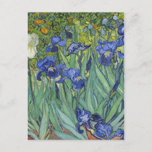 Cartão Postal De Festividades Irises Vincent van Gogh Trabalho de arte